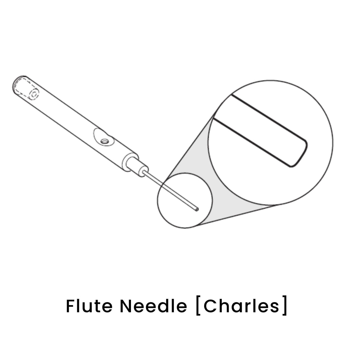 view of anodyne flute needle charles