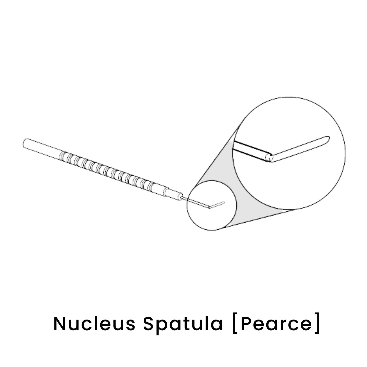 view of anodyne nucleus spatula pearce