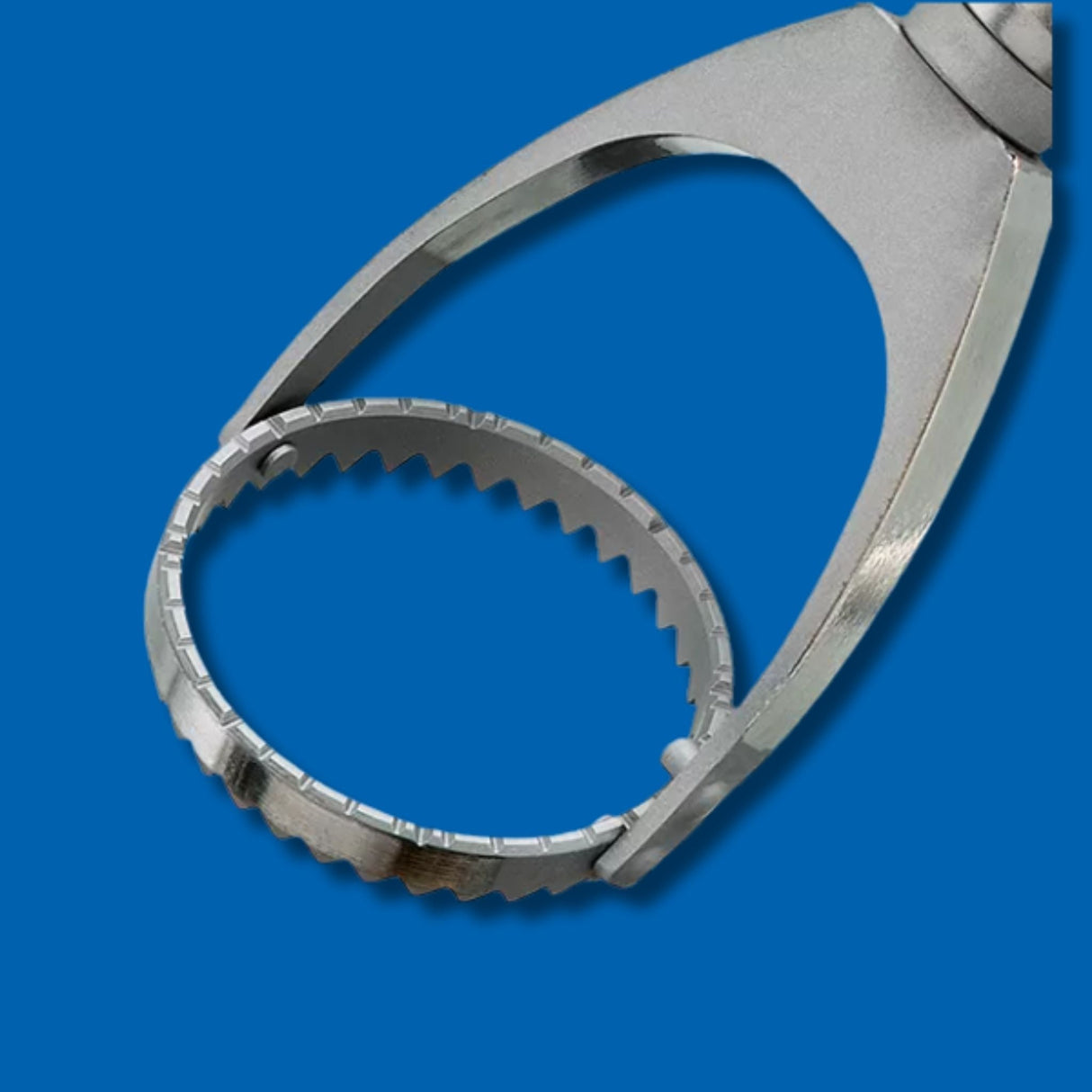 Close up of the Thornton Fixation swivel ring.