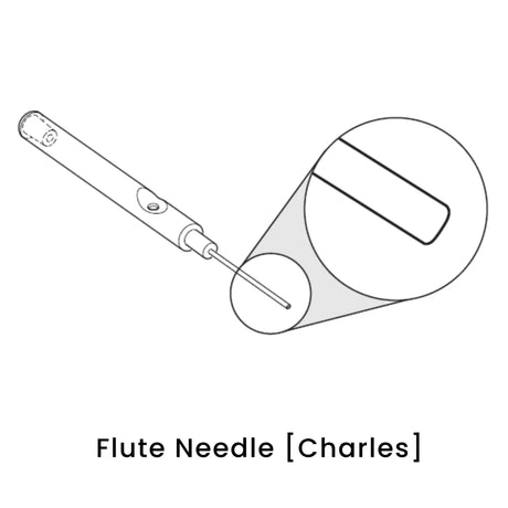 view of anodyne flute needle charles