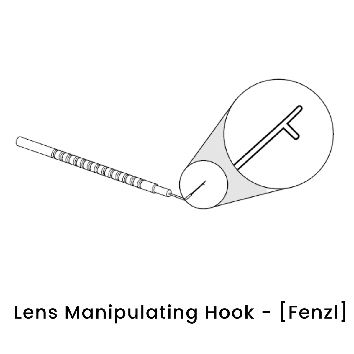 view of anodyne lens manipulating hook fenzl