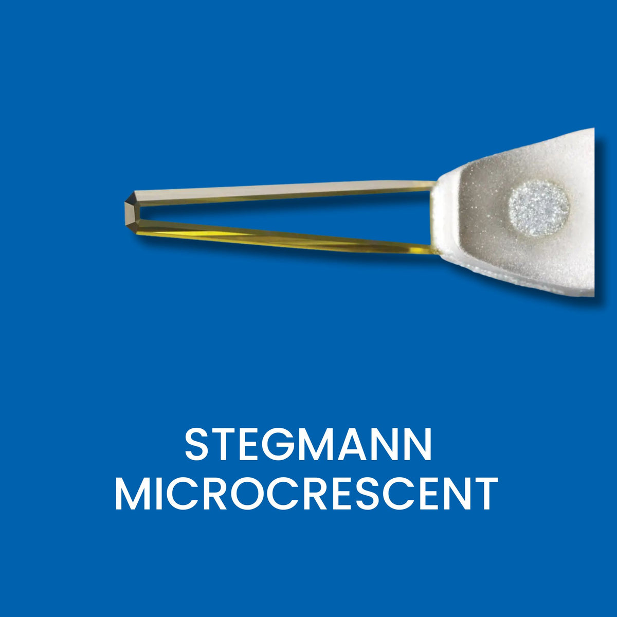 Stegmann MicroCrescent Diamond Knife with President handle for Cresent.